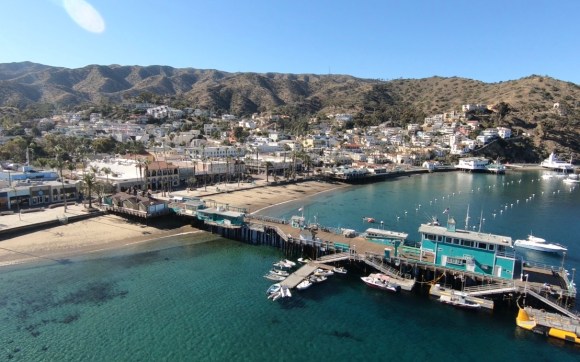 8C6CDDE0-62AD-4814-A11C-C638514707D8